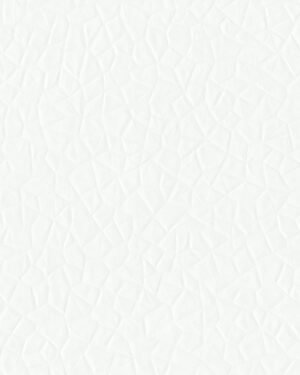 Borges - Blanco, Otros diseños