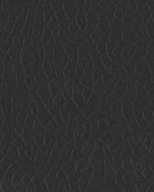 Borges - Negro, Otros diseños