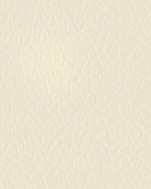 Borges - Beige, Otros diseños