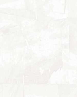 Paganini - Blanco, Otros diseños