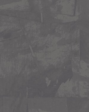 Paganini - Gris, Otros diseños