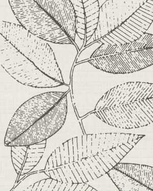 Sibelius - Negro, Otros diseños