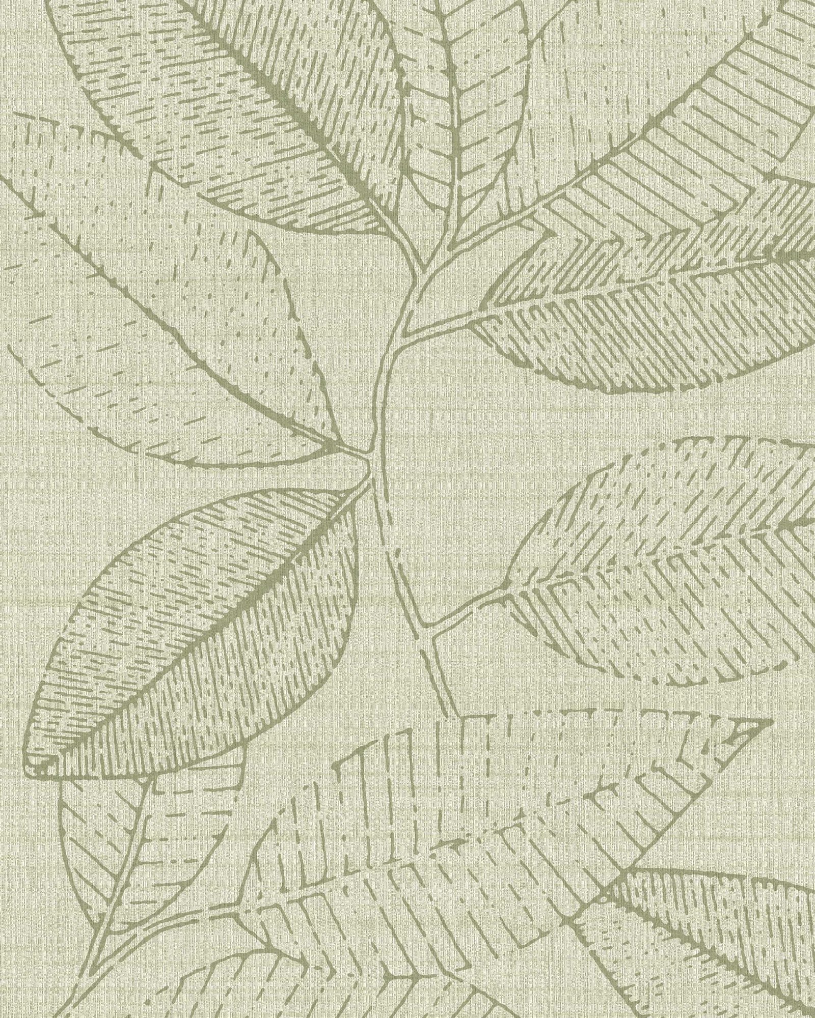 Sibelius - Verde, Otros diseños