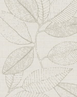 Sibelius - Beige, Otros diseños