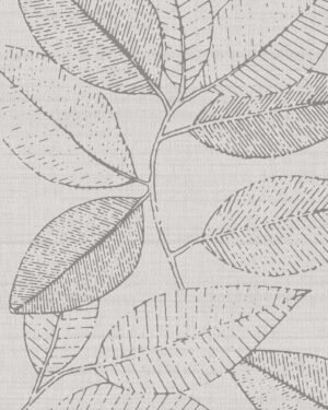 Sibelius - Gris, Otros diseños