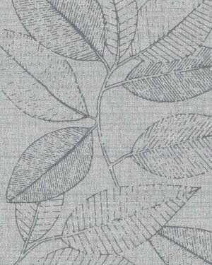 Sibelius - Azul, Otros diseños