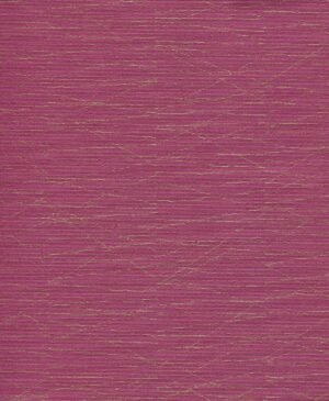 Haydn - Rosa, Otros diseños