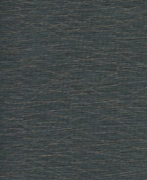 Haydn - Negro, Otros diseños