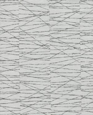 Haydn - Negro, Otros diseños