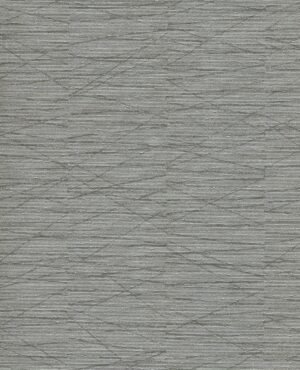 Haydn - Gris, Otros diseños