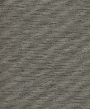 Haydn - Marrón, Otros diseños