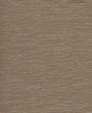 Haydn - Marrón, Otros diseños