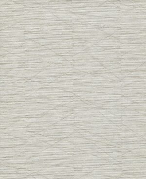 Haydn - Gris, Otros diseños