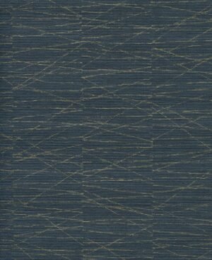 Haydn - Azul, Otros diseños