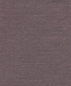 Schönberg - Violeta