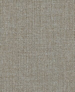 Schumann - Marrón, Otros diseños