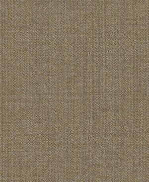 Schumann - Marrón, Otros diseños