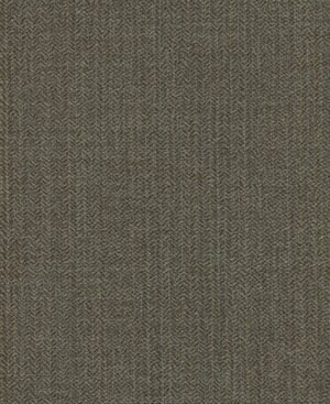 Schumann - Marrón, Otros diseños