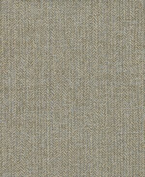 Schumann - Marrón, Otros diseños