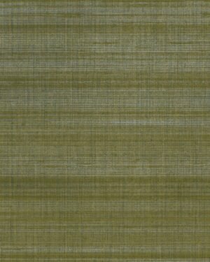 Shelley-ll - Verde, Otros diseños