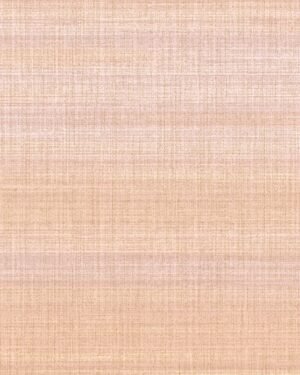 Shelley-ll - Rosa, Otros diseños