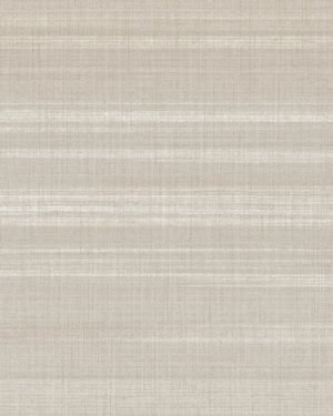 Shelley-ll - Gris, Otros diseños