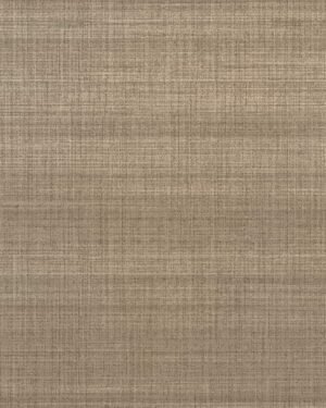 Shelley-ll - Gris, Otros diseños