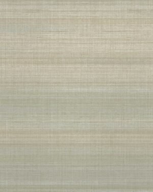 Shelley-ll - Gris, Otros diseños