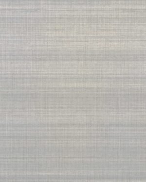 Shelley-ll - Azul, Otros diseños