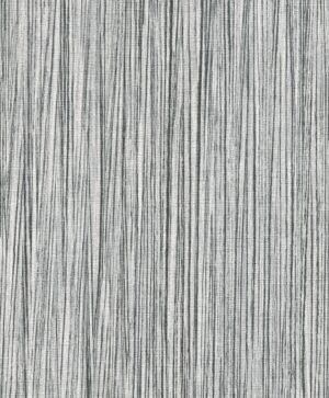 Wagner - Negro, Otros diseños