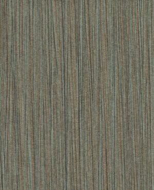 Wagner - Verde, Otros diseños