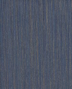 Wagner - Azul, Otros diseños