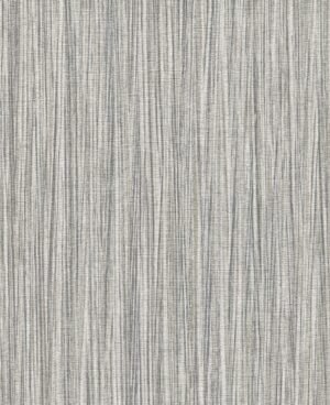 Wagner - Gris, Otros diseños